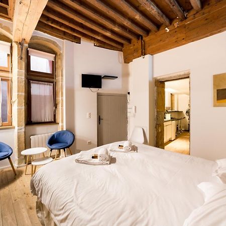 La suite Bibliothèque - fully equipped appartment in Vieux Lyon Old Town Extérieur photo