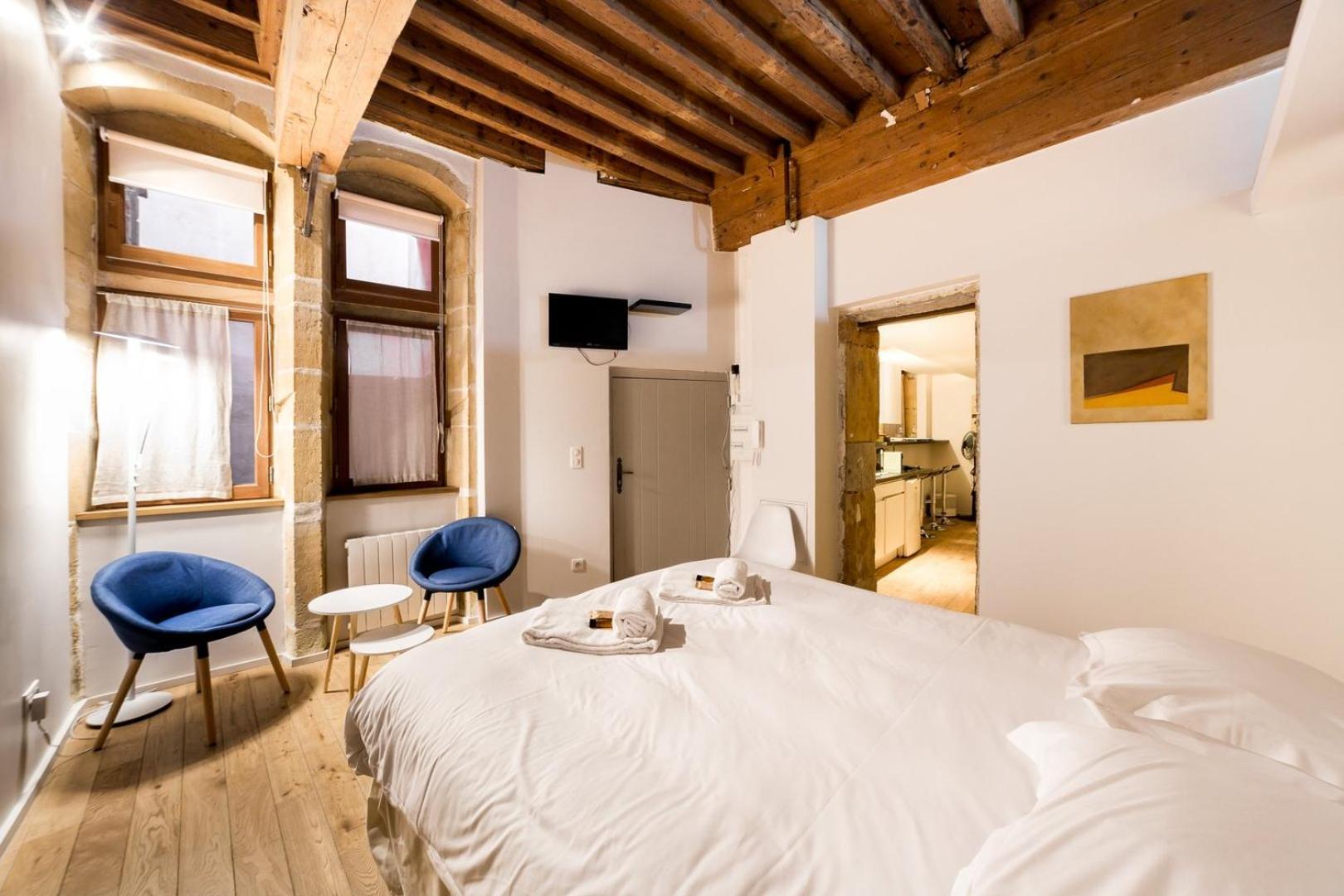 La suite Bibliothèque - fully equipped appartment in Vieux Lyon Old Town Extérieur photo
