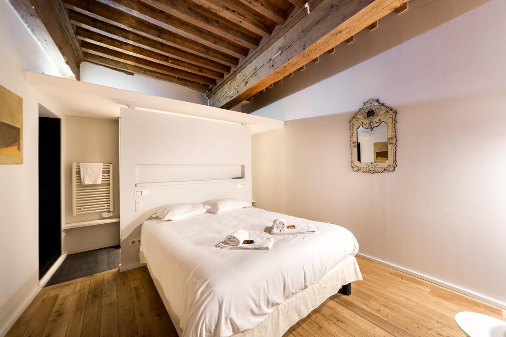 La suite Bibliothèque - fully equipped appartment in Vieux Lyon Old Town Extérieur photo